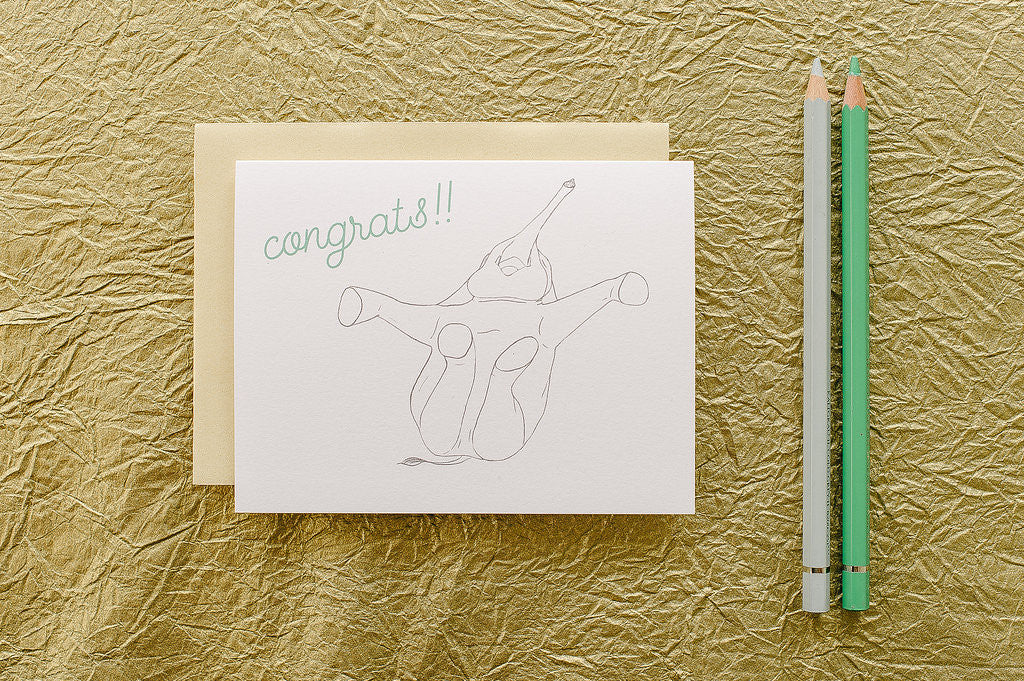 Congrats Elephant
