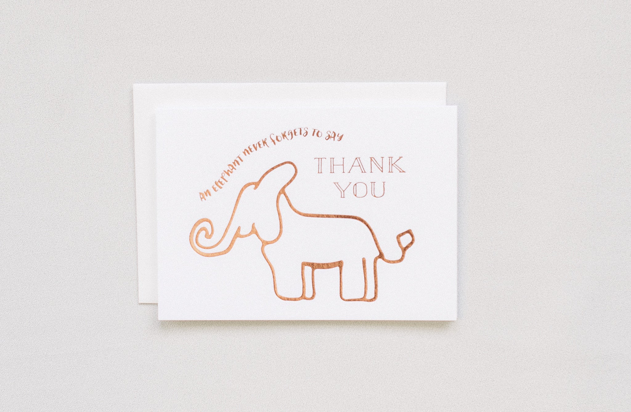 Elephant Never Forgets Thank You