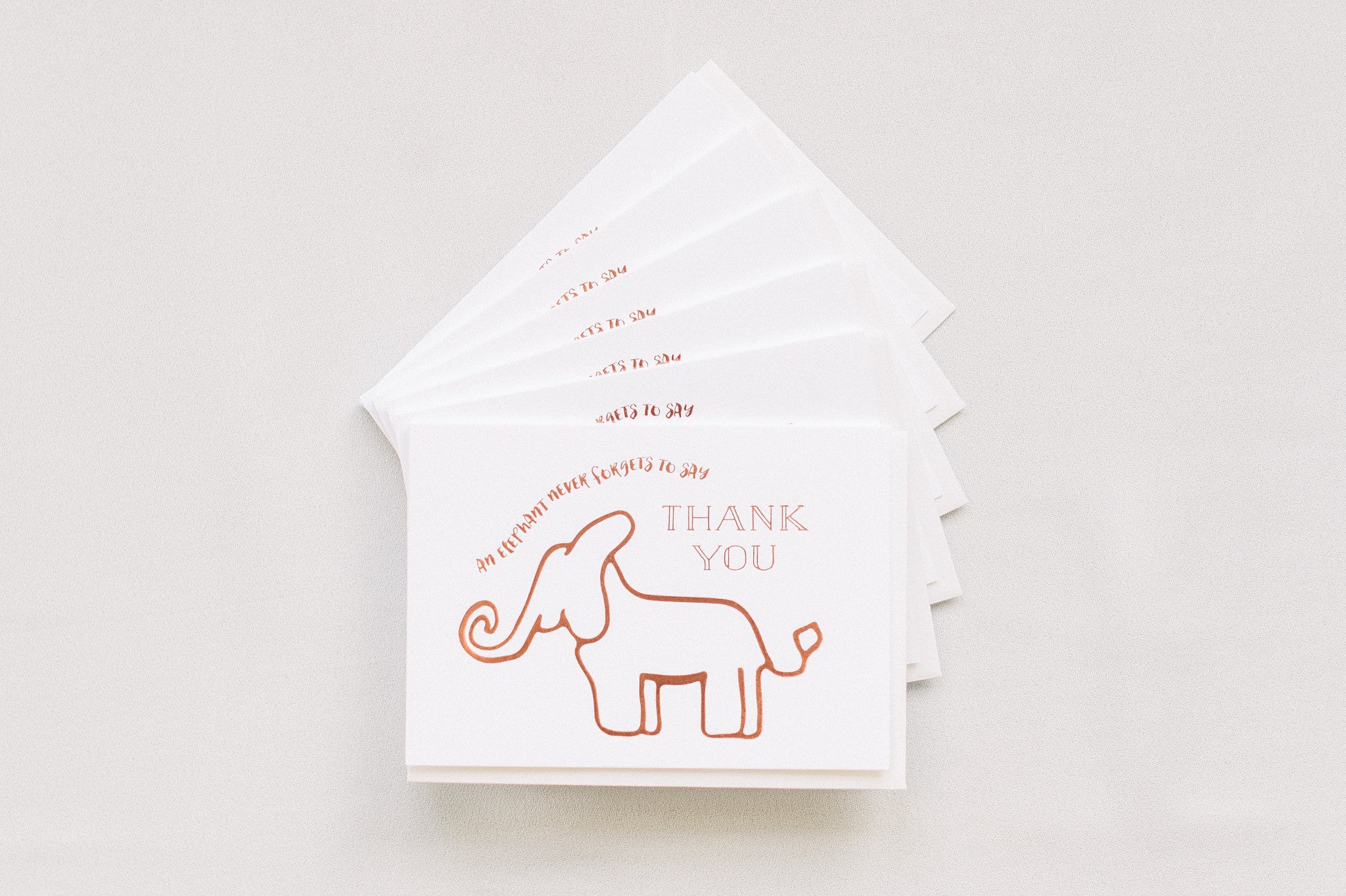 Elephant Never Forgets Thank You - Boxed Set of Six
