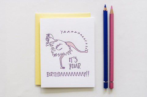 YAS Ostrich Birthday